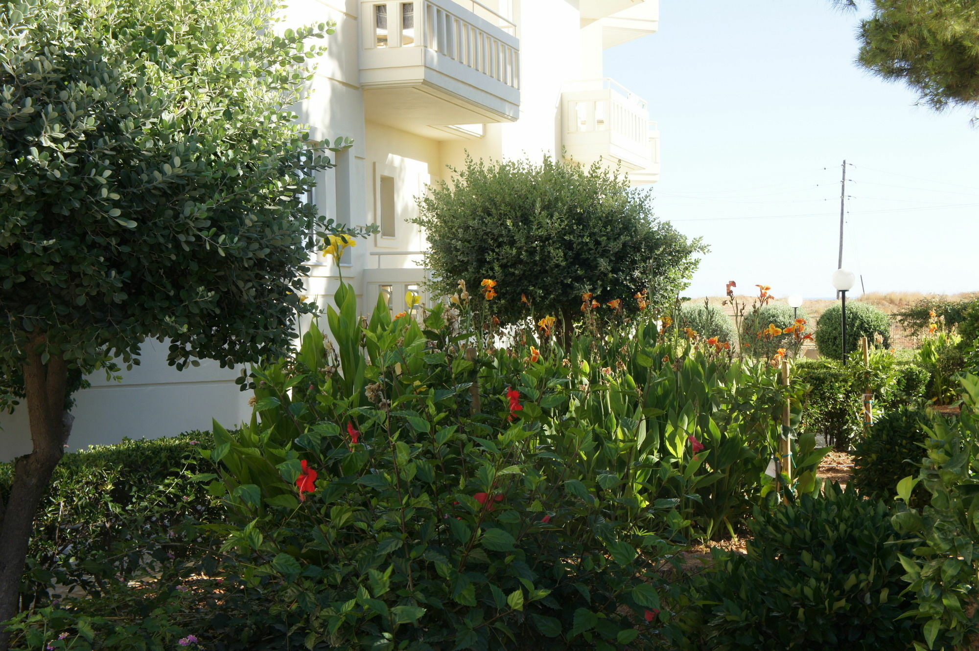 Kedrissos Hotel Chania  Bagian luar foto